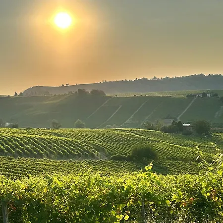 Lejlighed Bricco Aive *