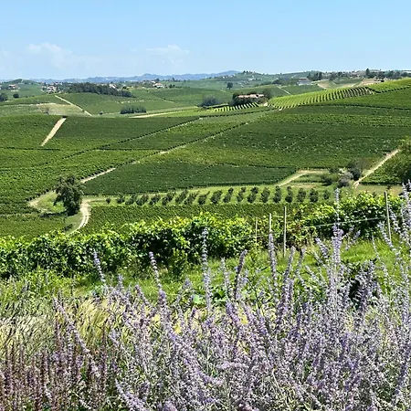 Bricco Aive * Costigliole d'Asti