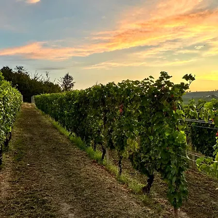 Bricco Aivè Appartement Costigliole d'Asti