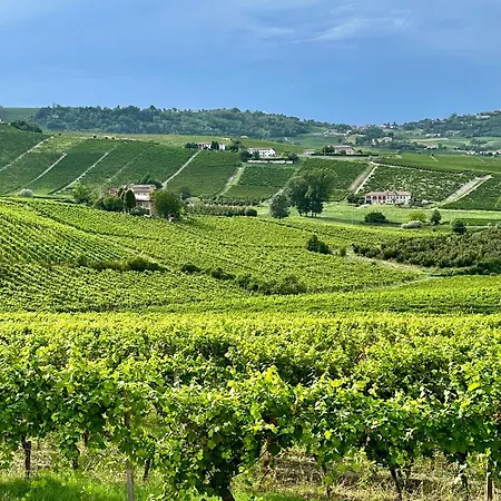 Bricco Aivè Costigliole d'Asti