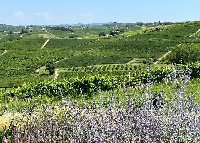Bricco Aive * Costigliole d'Asti